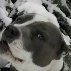 Виктория Станогина, 15.04.1978, Лиман