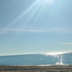 Михаил Логуа, 12.08, Москва