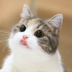 Владимир Субботин, 01.01.1990, Владивосток