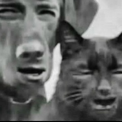 Влад Мишустин