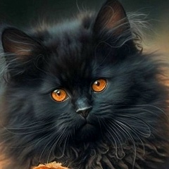 Светлана Осипчук, 02.04, Уфа