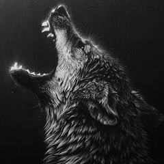 Илес Нохчоев, Грозный