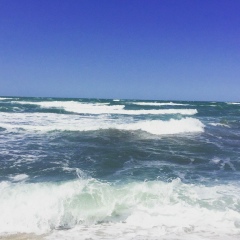 Наджаф Рзаев, 27.05