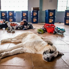 Санёк Кислыйкомпот, 21.05