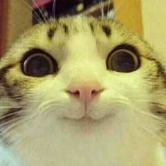 Aziz Tukanov, 18.02, Алматы