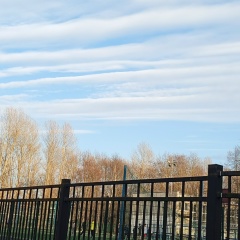 Владислав Масалёв, 01.01.1982, Санкт-Петербург