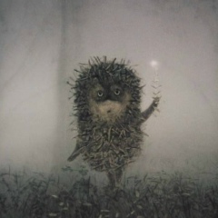 Medeu Serikuly, 10.02.1993, Семей