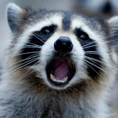 Саша Бондар, 13.12