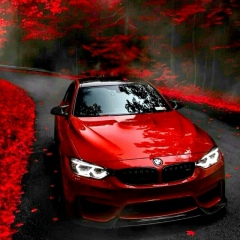 Акмаль Сабиржанов, 30.03.1992