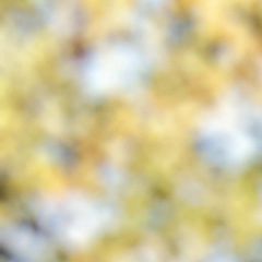 Александр Шугаев, 22.05.1989, Курск