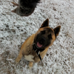 Иван Акатьев, 09.11, Санкт-Петербург