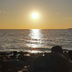 Алишер Шадиев, 19.04.1988, Санкт-Петербург