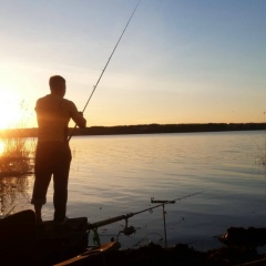 Андрей Зизико, Несвиж