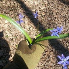 Антон Никифоров, 02.05.1992