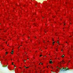 Nurziya Adaika, 26.03.1995, Актау