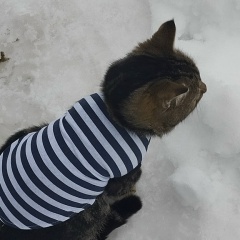 Сергей Александрович, 22.12, Йошкар-Ола