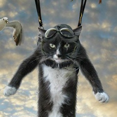 Оксана Попова-Таранова, 20.10, Караганда