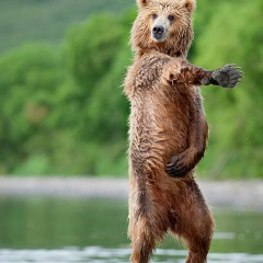 Остап Зацерковний, 23.11.1988, Горки (34630404136, Адищевское с/п)