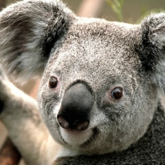 Райбек Тутаев, 14.03.2000, Москва