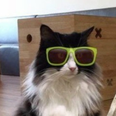 Александр Байкин, 10.05.1987, Электросталь