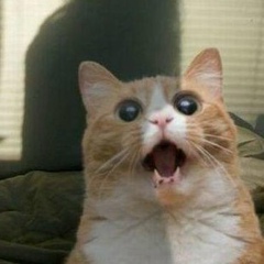 Алексей Движухин, 18.07