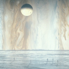 Антон Москалец, 03.07.1987, Санкт-Петербург