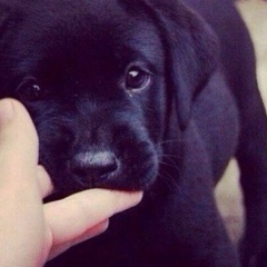 Иван Михаилов, 02.04.1986, Баксан