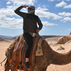 Dominykas Klevinskas, Вильнюс
