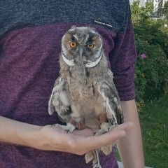 Сергей Владимирович, 22.05