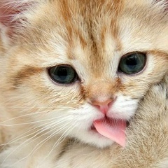 Даниил Калюгин, 07.10, Красноармейск