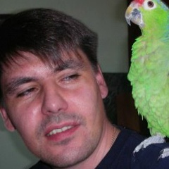 Сеня Осиновский, 01.01