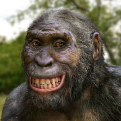 Андрей Клышко, 21.12.1985, Восход (село)