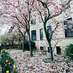 Жаннур Аймаганбетова, 14.01.1998, Астана