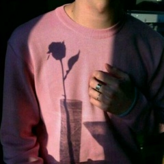 Никола Питерский, 14.06.2001