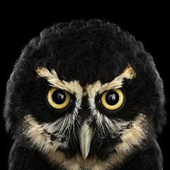 Андрей Викторович, 28.01