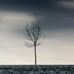 Айбек Исатов, 12.01.1988, Кеген