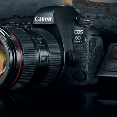 Дмитрий Самсонов, 28.08, Санкт-Петербург