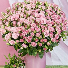 Карлыгаш Сыдыкбекова, 05.05.1976, Алматы