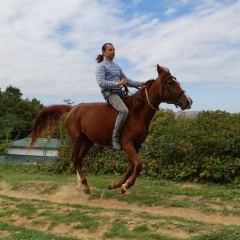 Дмитрий Субботин, 16.12.1984, Краснодар