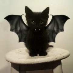 Дмитрий Юхименко, 08.05.1986, Киев