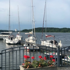 Мирослава Свердлик, 01.01, Санкт-Петербург