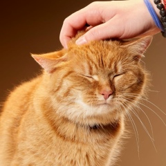 Дарья Ларионова, 19.04, Москва