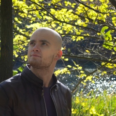 Сергей Шестопал, Киев