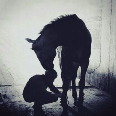 Павел Гладких, 24.09.1994, Шымкент