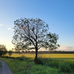 Иринка Шаран, 20.12, Санкт-Петербург
