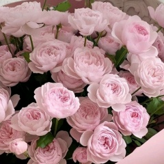 Ирочка Чурбанова, Екатеринбург