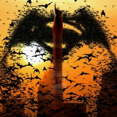 Алина Шиян, 20.11, Алматы