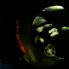 Альбина Галиева, 16.05, Москва