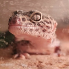 Серега Пильтяй, 10.12.1991