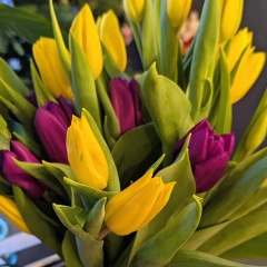 Кристина Семёнова, Псков